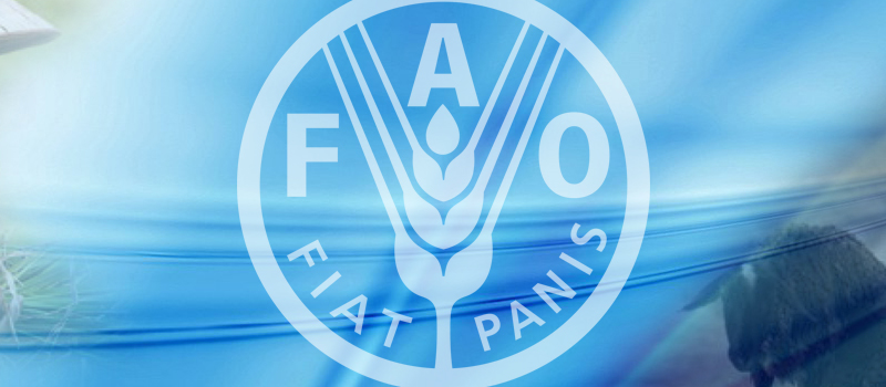 Immagine di 'Giornata Mondiale dell’Alimentazione'