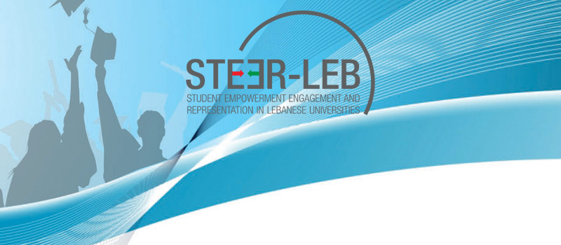 Immagine di 'StEER-Leb'